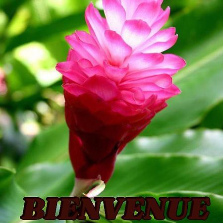 Alpinia Apartment Sainte-Anne Luaran gambar